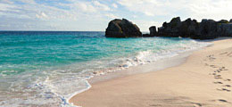 Pink Beaches
