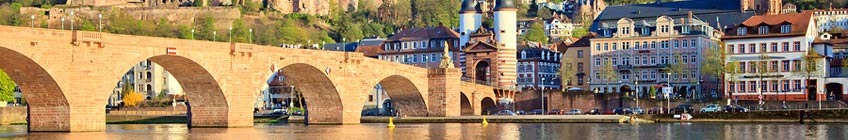 Rhine River Cruises