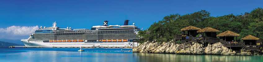 Celebrity Silhouette