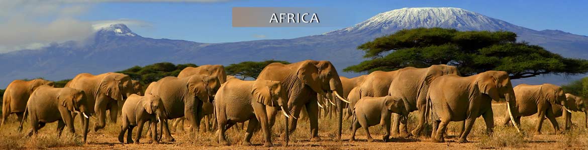 Globus Tours: Escorted Land Tours to Africa