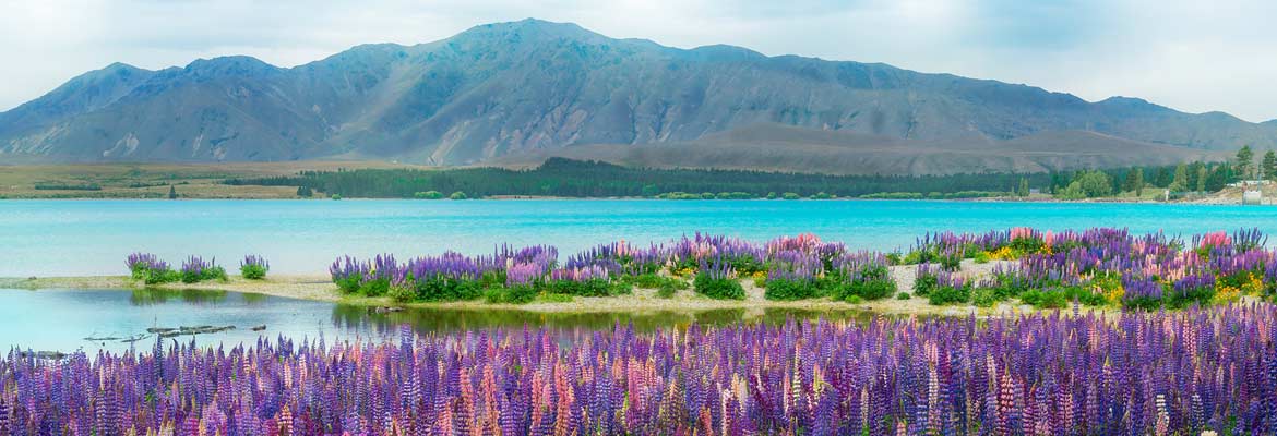 Escorted Land Tours to New Zealand and Australia